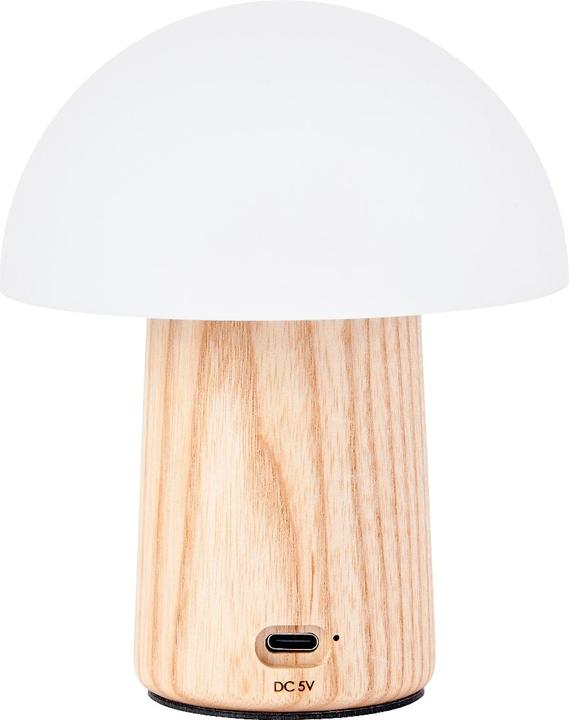 Image du produit Gingko Alice