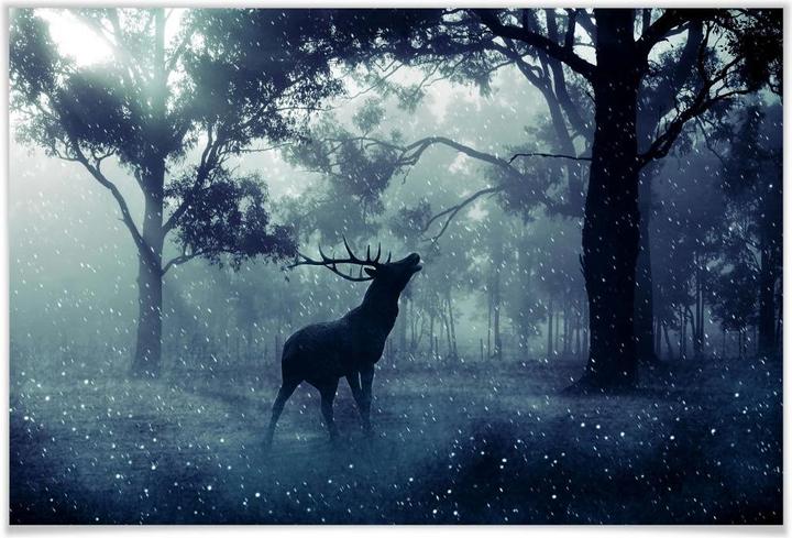 Image du produit Trenddeko Cerf dans la forêt du matin (100 x 70 cm)