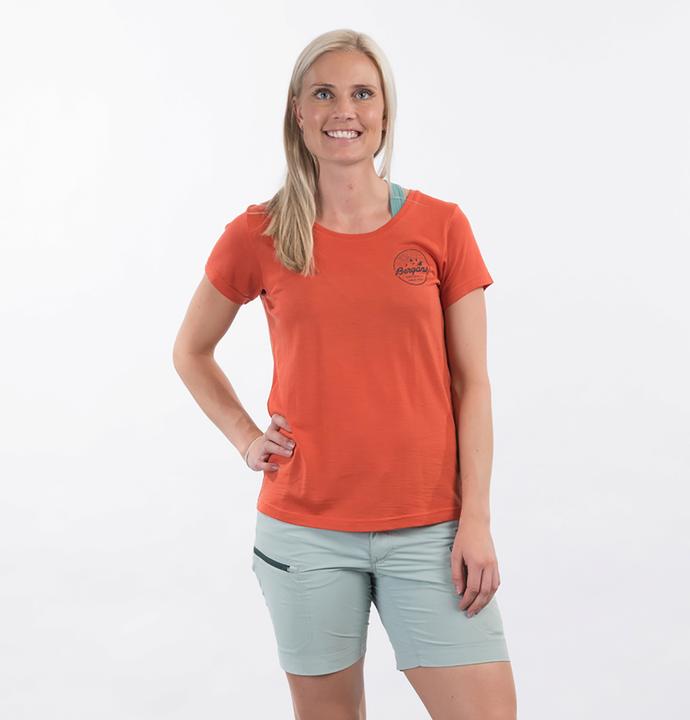 Actual product image Bergans Graphic Wool T-Shirt (M)