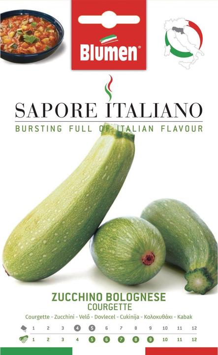Produktbild Blumen Zucchini Bolognese (Gemüsesamen)