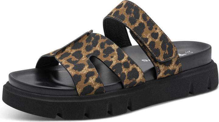 Leopard, Marrone