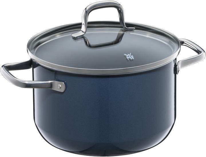 Actual product image WMF Ft Ftec Essential 20cm Blueb (Pot, Merger technology, 20 x 33 cm)