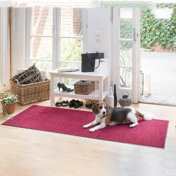 Actual product image Salonloewe Salon lion uni doormat (180 x 60 cm)