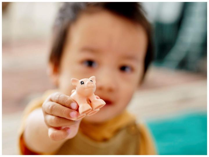 Image du produit LEGO Soins aux animaux à la ferme (10949)