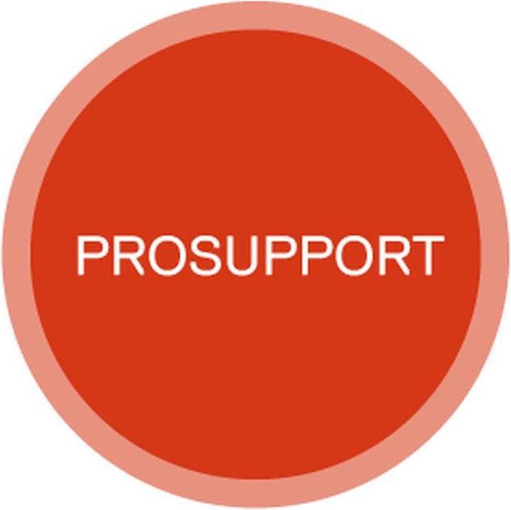 Dell ProSupport (60 mesi, In loco, Giorno lavorativo successivo)