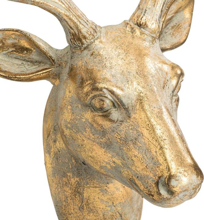 Image du produit pfister Alpine Nature