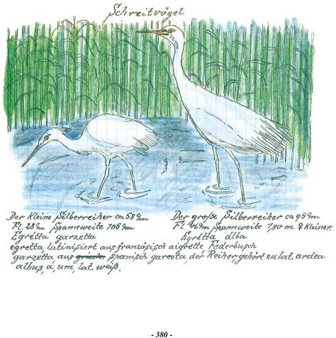 Produktbild Das Vogel-Album. 1950 (Deutsch, Christiane Habermalz, Karl Wenzel, 2021)