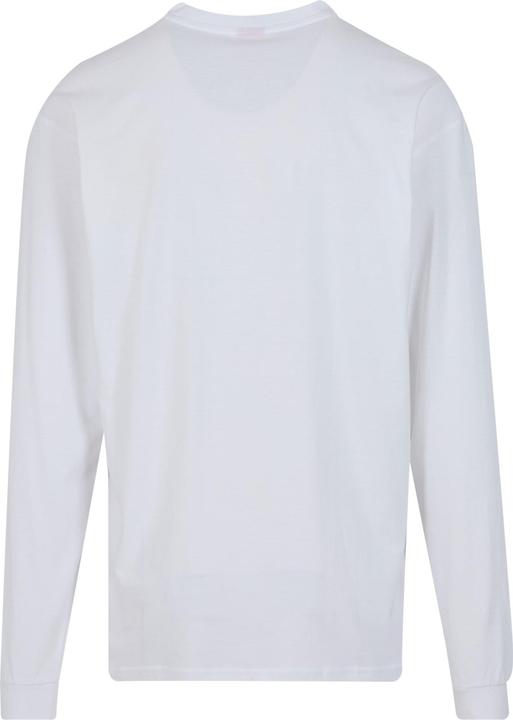 Produktbild Santa Cruz Screaming Hand Longsleeve (M)