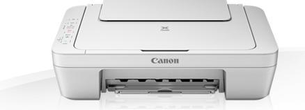 Canon MG2950 (Inchiostro, Colore)
