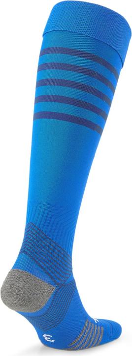 Actual product image Puma teamFINAL Socks (39 - 42)