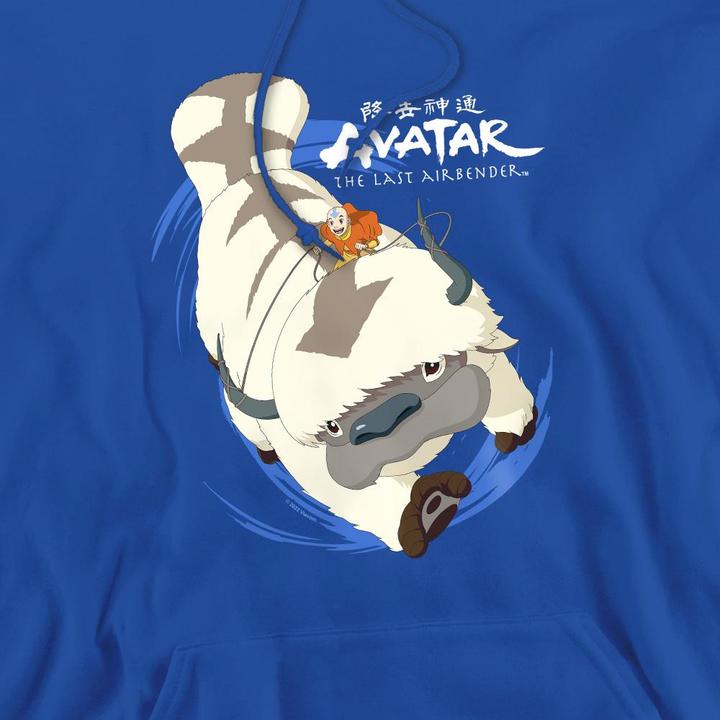 Image du produit Avatar: The Last Airbender - Sweat à capuche IN FLIGHT - Homme (L)