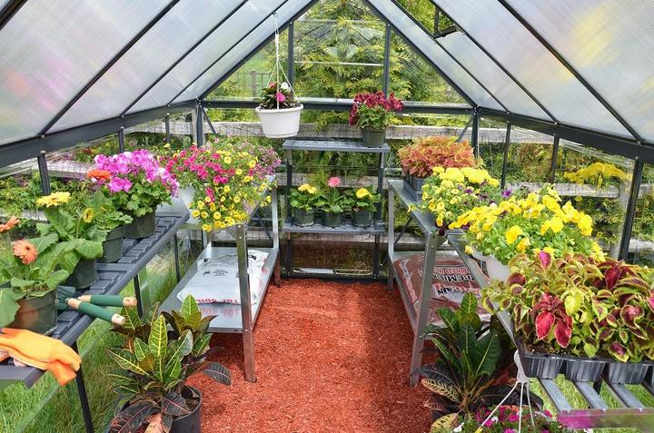 Actual product image Palram Hybrid