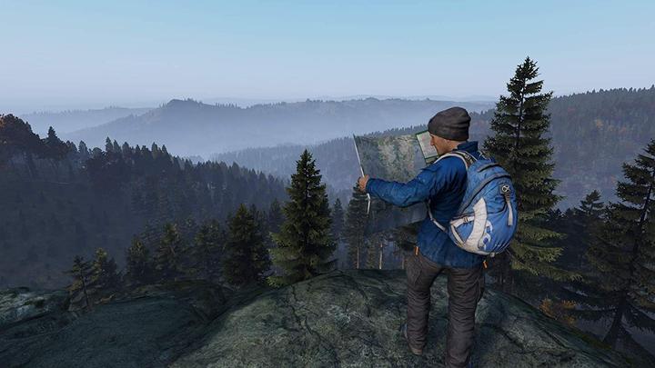 Actual product image Sold Out DayZ (PS4, DE)