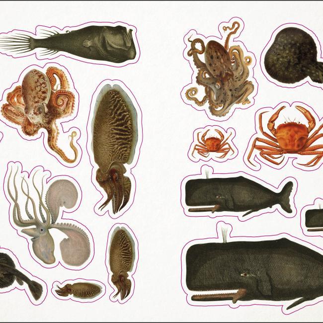 Produktbild The Seashore Sticker Anthology