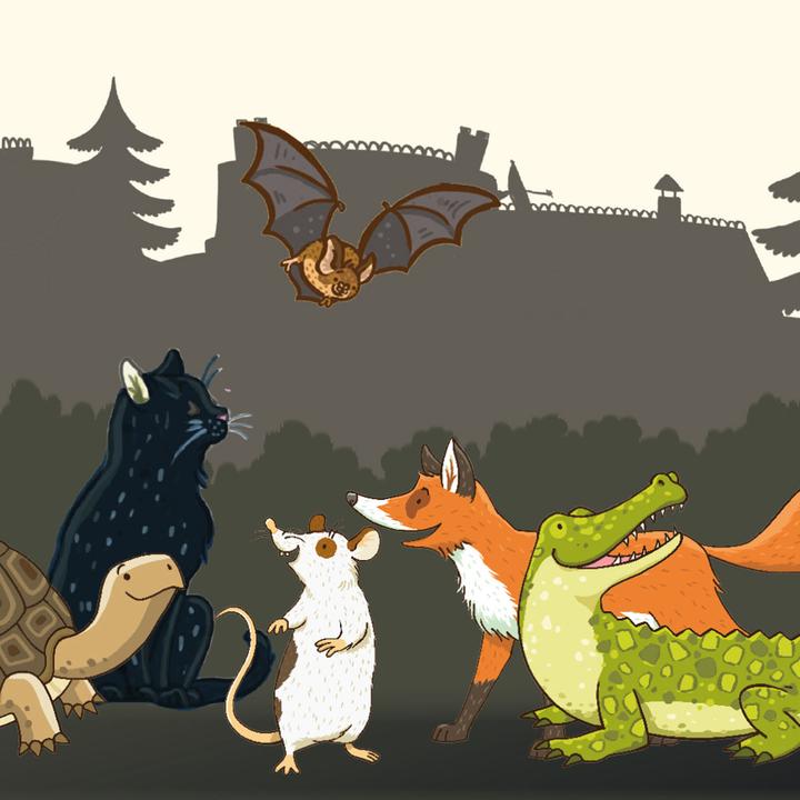 Produktbild Kosmos Die Schule der magischen Tiere (Deutsch)