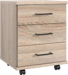 OAK SAEGERAU REPRODUCTION