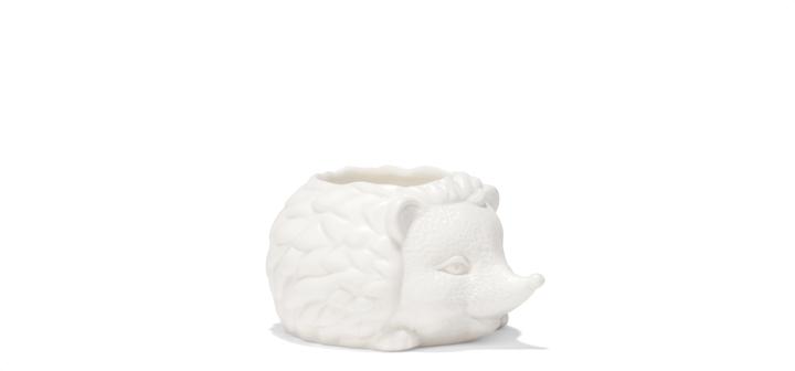 Immagine prodotto Kikkerland Prickles la fioriera del riccio (9.30 cm)