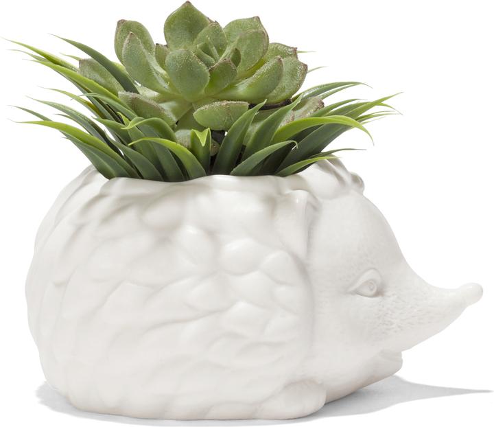 Immagine prodotto Kikkerland Prickles la fioriera del riccio (9.30 cm)