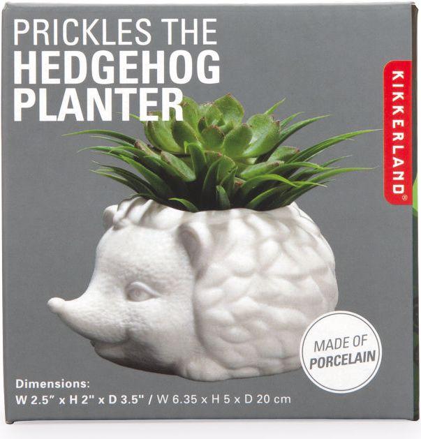 Immagine prodotto Kikkerland Prickles la fioriera del riccio (9.30 cm)