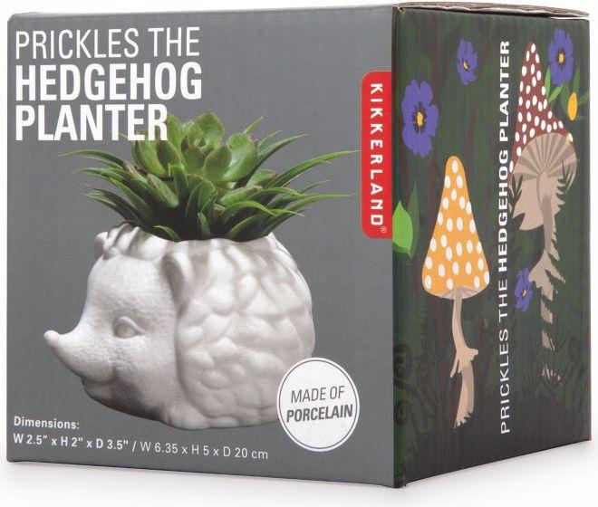 Immagine prodotto Kikkerland Prickles la fioriera del riccio (9.30 cm)