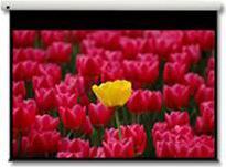 Optoma DE-9120EGA, 120" motorisierte Leinwand (120", 16:9)