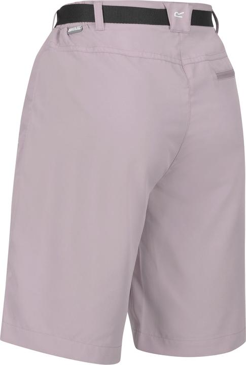 Actual product image Regatta Womens/Ladies Xert Stretch Shorts (34)