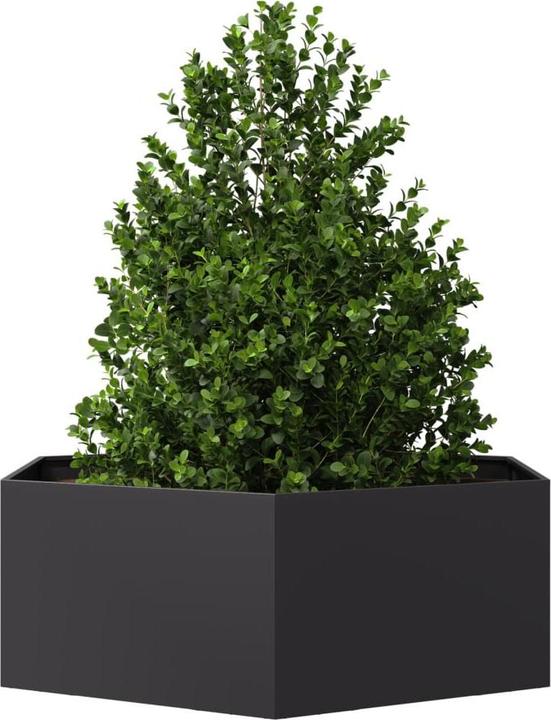 Produktbild vidaXL Pflanzkübel