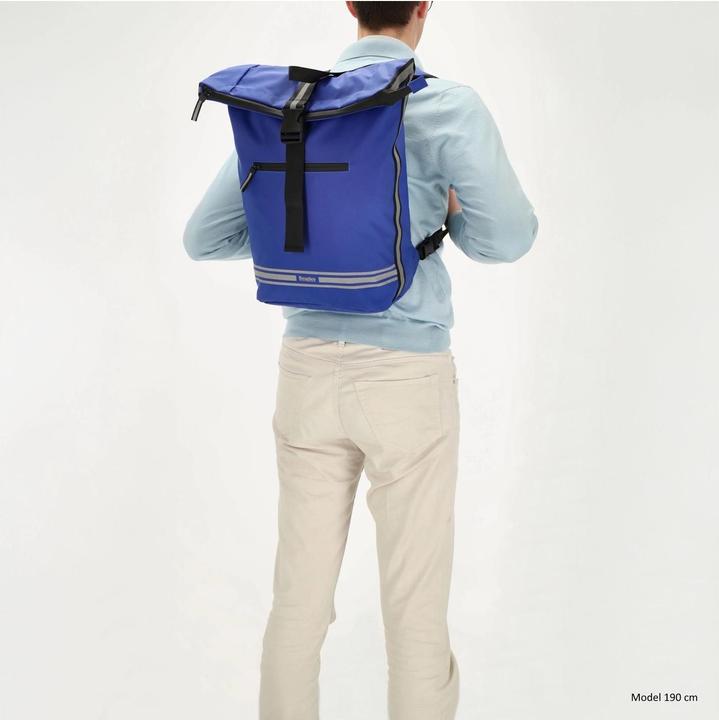 Actual product image Beagles Bicycle Originals Backpack (30 l)