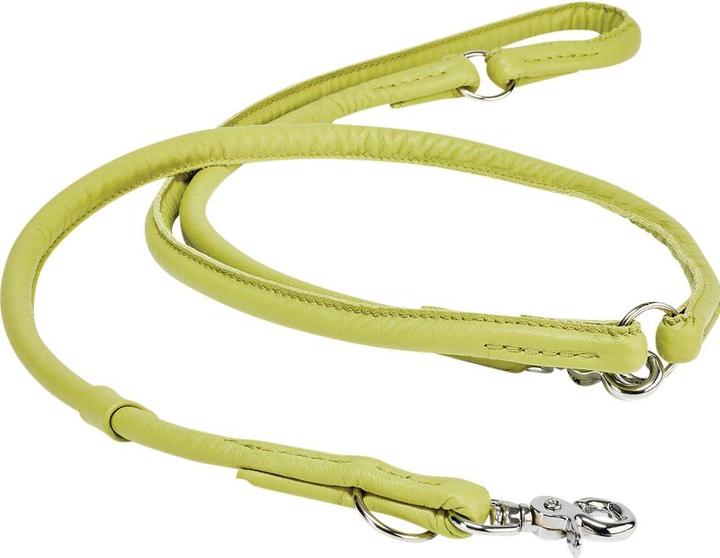 Round leash Amici