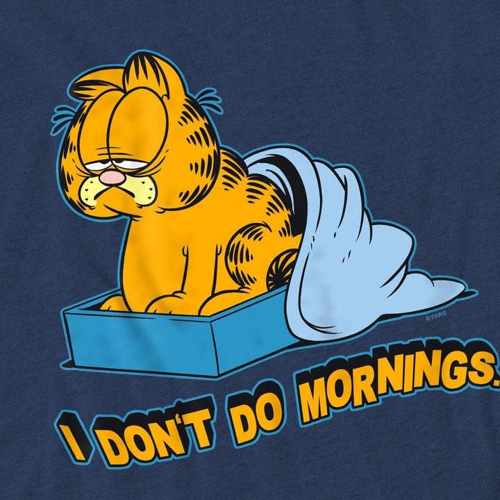 Produktbild Garfield I Don't Do Mornings TShirt (M)