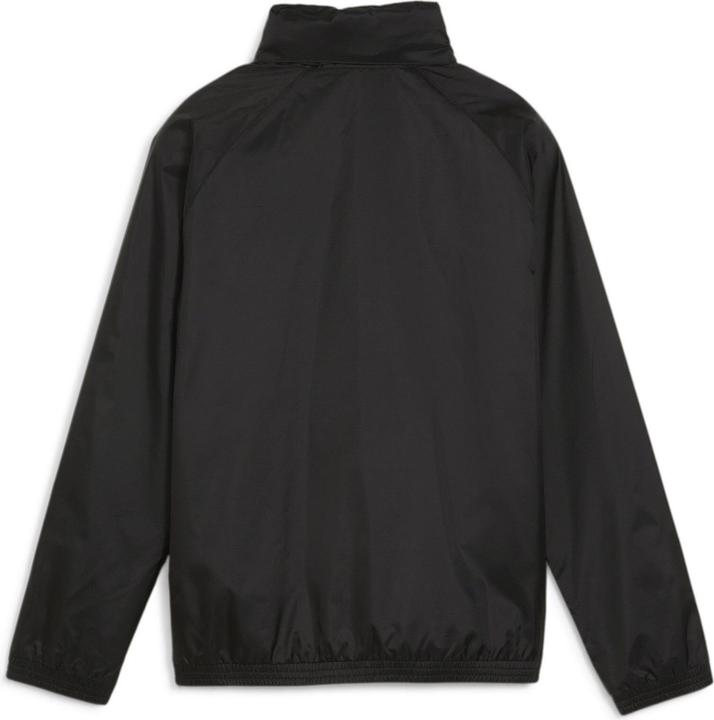 Actual product image Puma teamGOAL Allweather Jacket Jr (164)