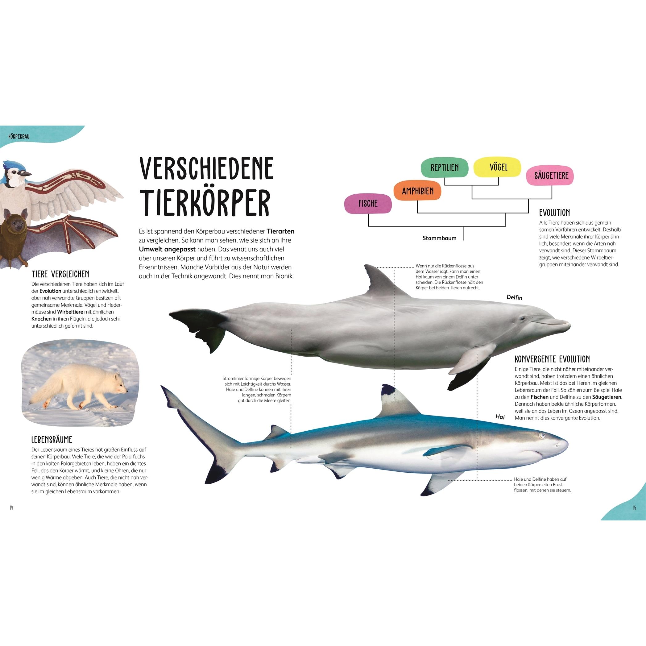 Thumbnail - French:Anatomie der Tiere, Kinderbücher von Jess (Dr.) French