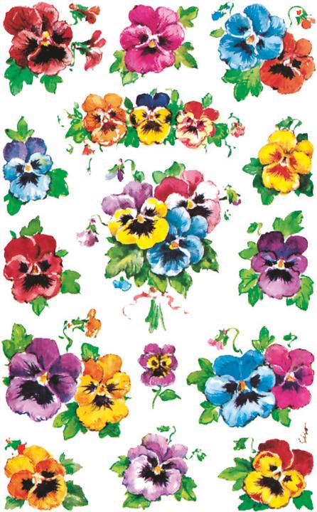 Produktbild Z-Design Aufkleber Stiefmütterchen (45 Sticker)