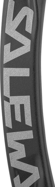 Immagine prodotto Salewa Ortles Bent Carabiner