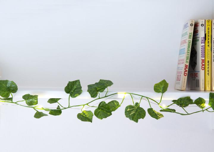 Produktbild Kikkerland Ivy (3.05 m)