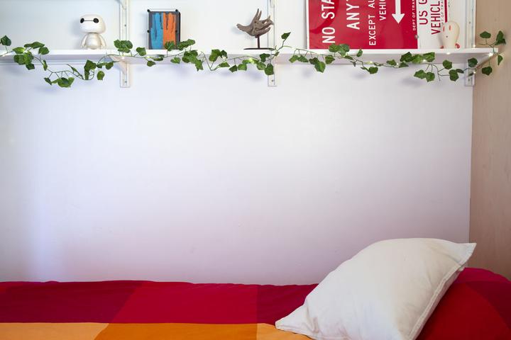 Produktbild Kikkerland Ivy (3.05 m)