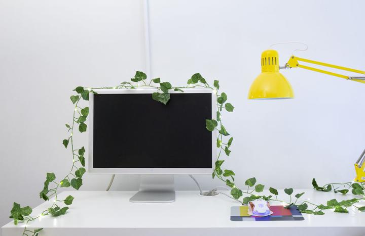 Produktbild Kikkerland Ivy (3.05 m)
