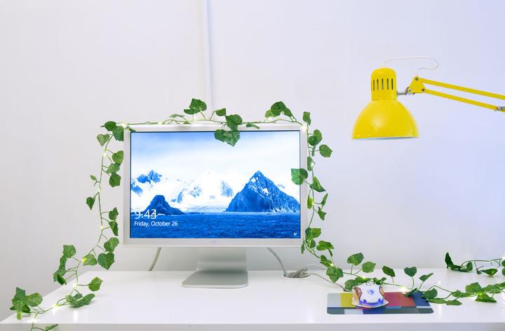 Produktbild Kikkerland Ivy (3.05 m)