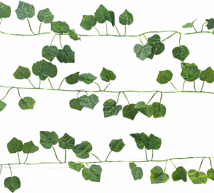 Kikkerland Ivy (3.05 m)