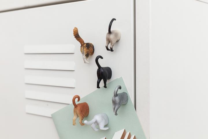 Actual product image Kikkerland Cat Butt (6 x)