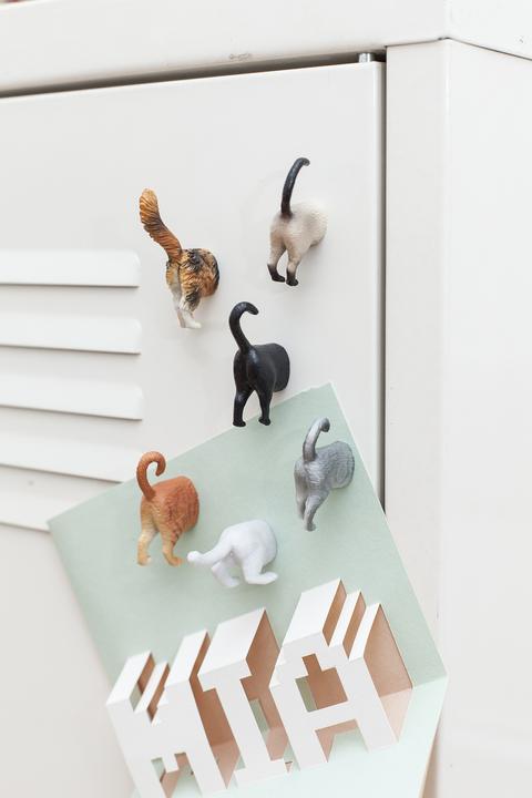 Actual product image Kikkerland Cat Butt (6 x)