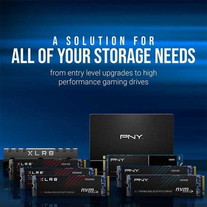 Immagine prodotto PNY CS1030 (500 GB, M.2 2280)
