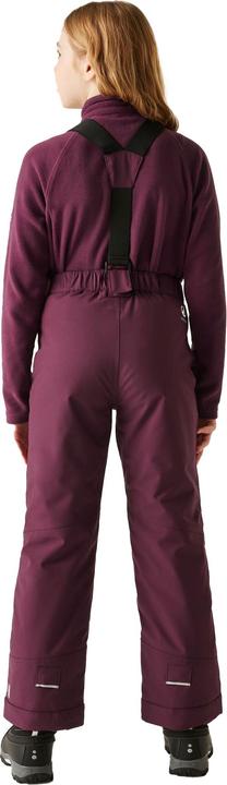 Immagine prodotto Dare2b Bambini Outmove II Pantaloni da Sci (164)