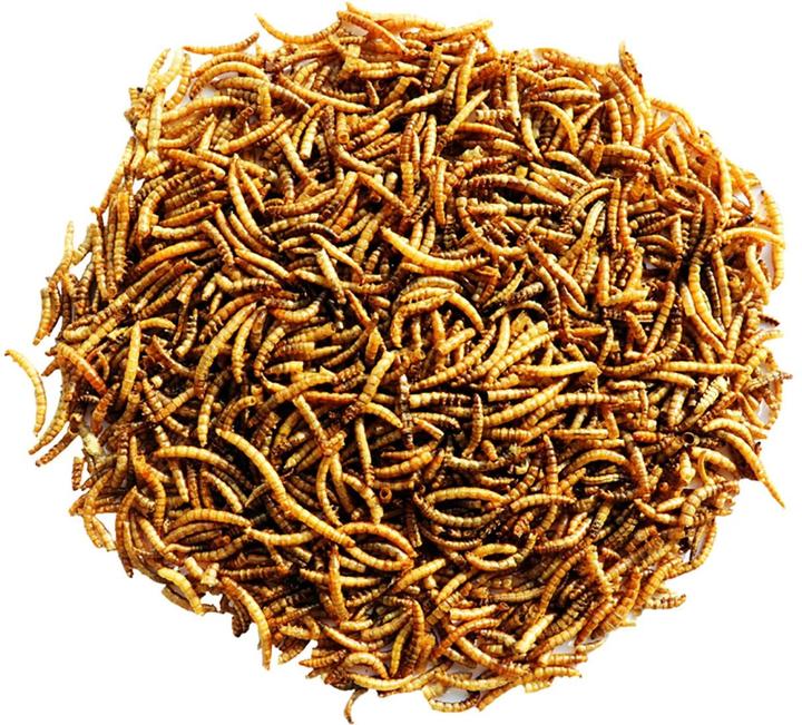 Produktbild Versele Laga Getrocknete Mehlwürmer, 300g (1 x, 0.30 kg)