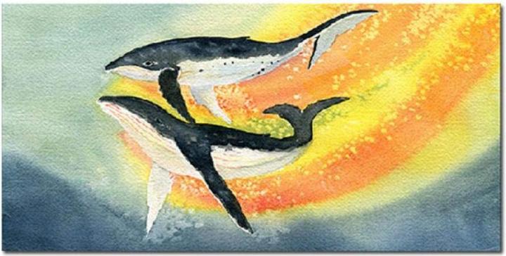 Image du produit Akuvox Kit TFE vidéo R20A-2 On-Wall, one button, card reader, 2-wire (Filaire)