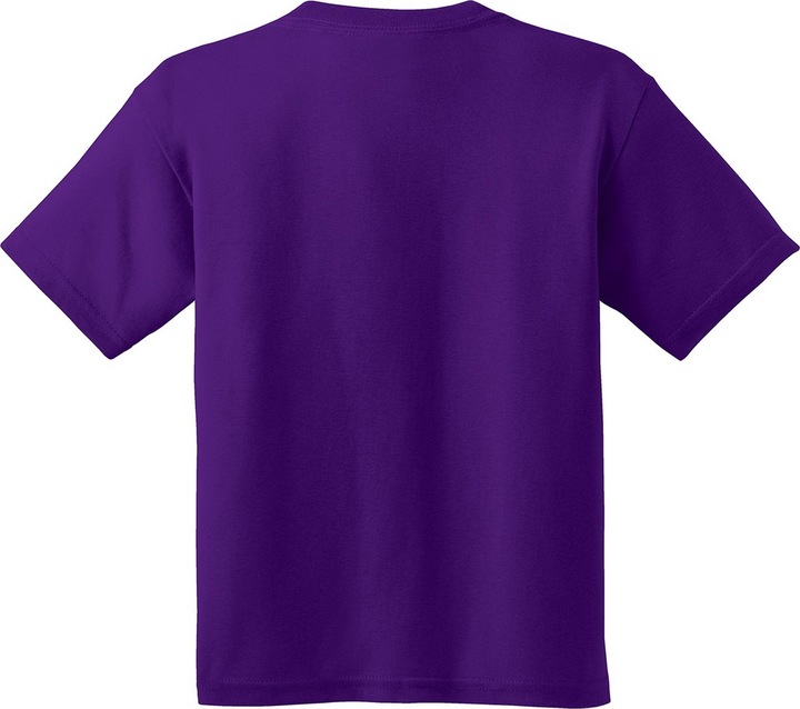 Actual product image Gildan Tshirt (2 piece pack) (L)