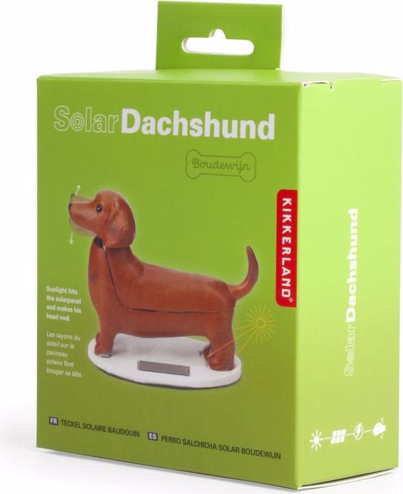 Productafbeelding Kikkerland Dashand