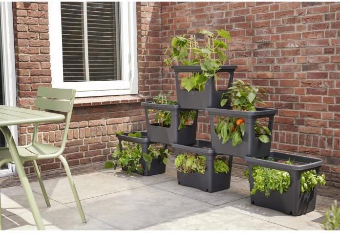 Productafbeelding Elho Anzuchttopf (50.90 x 35.10 x 35.70 cm)