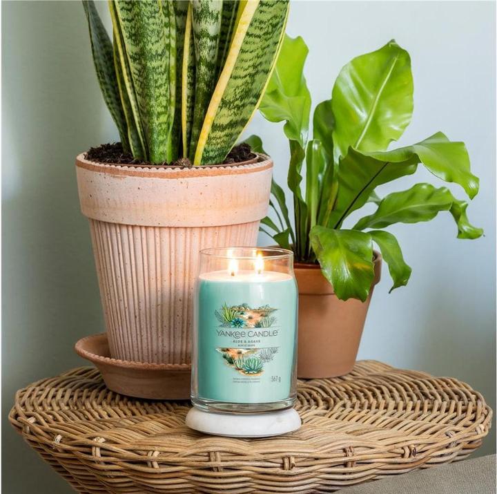 Actual product image Yankee Candle Aloe & Agave