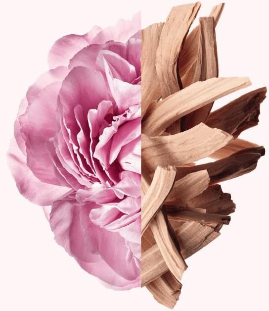 Immagine prodotto Givenchy Irresistibile (Eau de toilette, 80 ml)